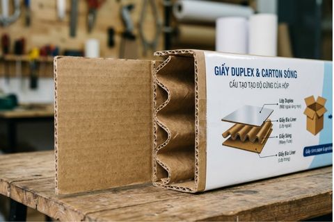 Đặc điểm cấu tạo của giấy Duplex bồi bìa carton sóng - một trong các loại giấy in phổ biến cho hộp đóng gói chịu lực.