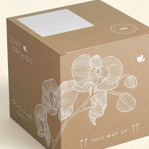 Quy mô sản xuất và sự đa dạng thành phẩm của dịch vụ in hộp giấy carton tại xưởng.