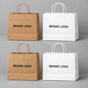 Dịch vụ in túi giấy giá rẻ uy tín tại HCM và Hà Nội cho cửa hàng B2B