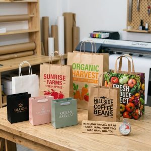 Dịch vụ in nhanh túi giấy giá rẻ lấy ngay cho doanh nghiệp