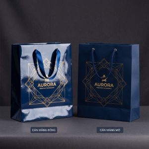 Các mẫu in túi giấy cán màng bóng và mờ sang trọng tại HomePrint.